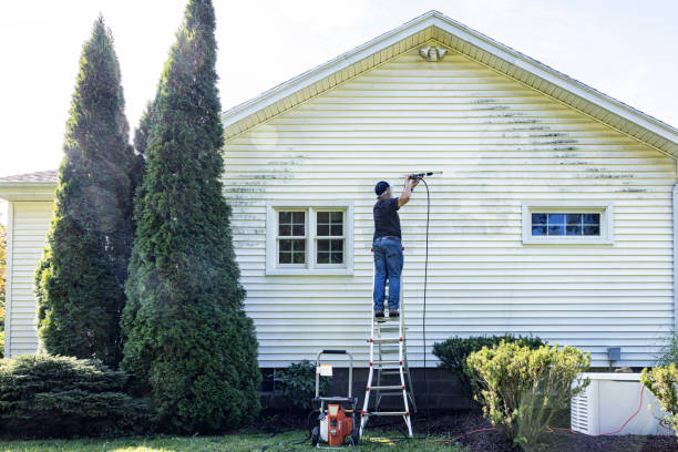 Best Spring Cleaning  in Sprague, WV